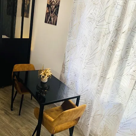 Le Gatsby - Hypercentre, Parking, Netflix, Calme Appartement Poitiers